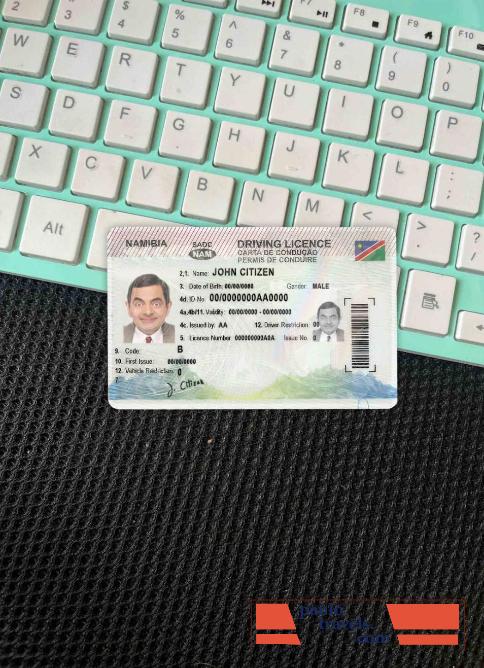 Namibia DL  photolook FRONT PSD template